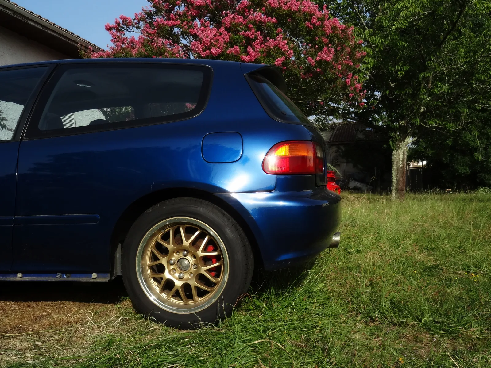 Honda Civic EG6 สีน้ำเงิน ล้อ BBS ทอง มุมท้ายเน้นดีเทลล้อ ฉากหลังดอกไม้
