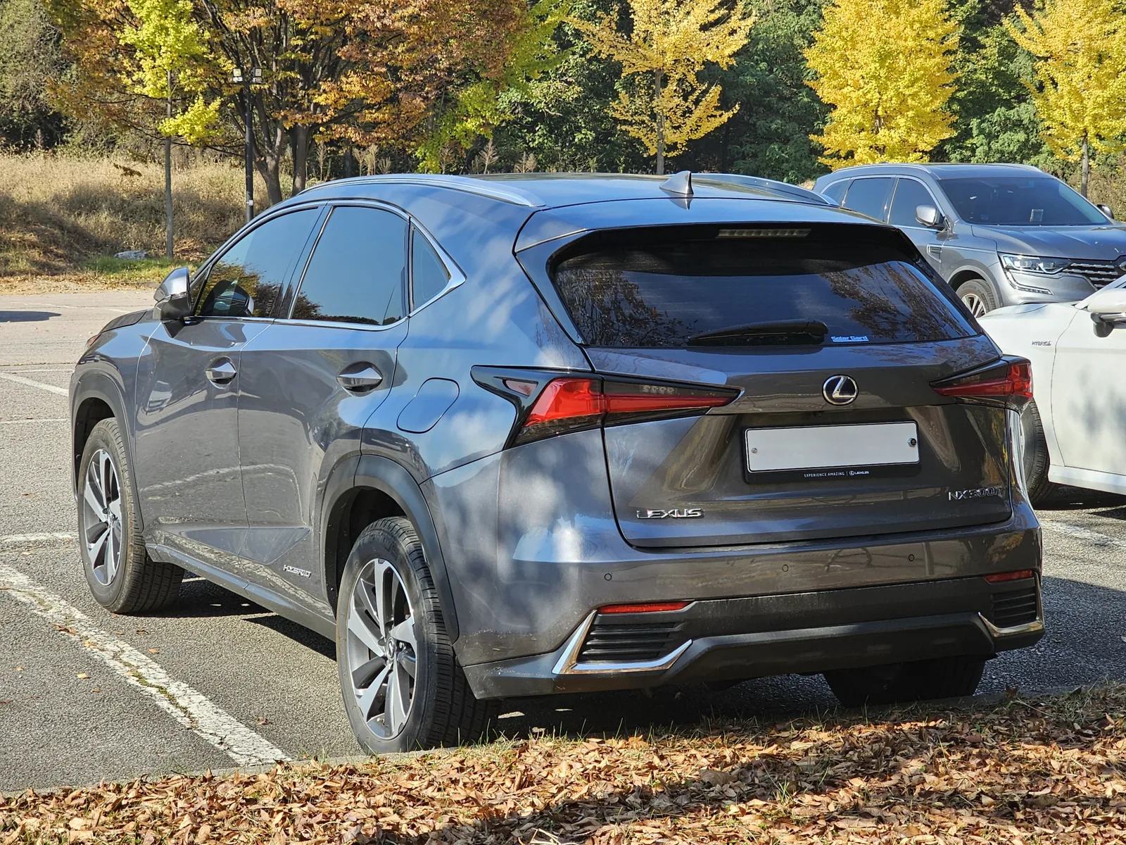 Lexus NX350h ไฮบริด สีเทา มุมข้างท้าย ท่ามกลางบรรยากาศฤดูใบไม้ร่วง